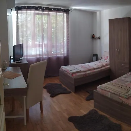 Bogoslovovi Lägenhet *